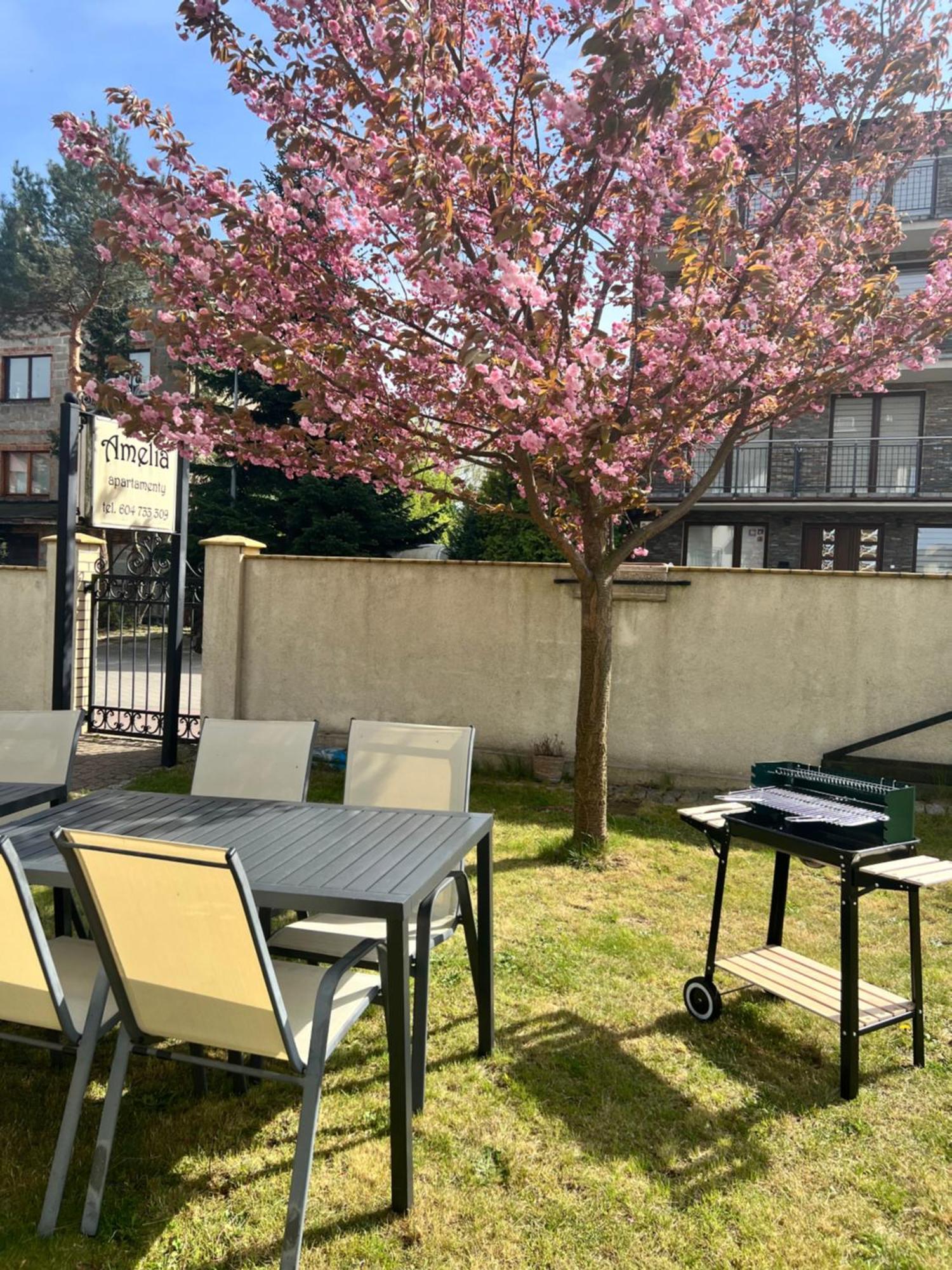 Amelia Apartamenty - Sala Zabaw, 2 Sypialnie, Garaz Podziemny Wladyslawowo Exterior foto