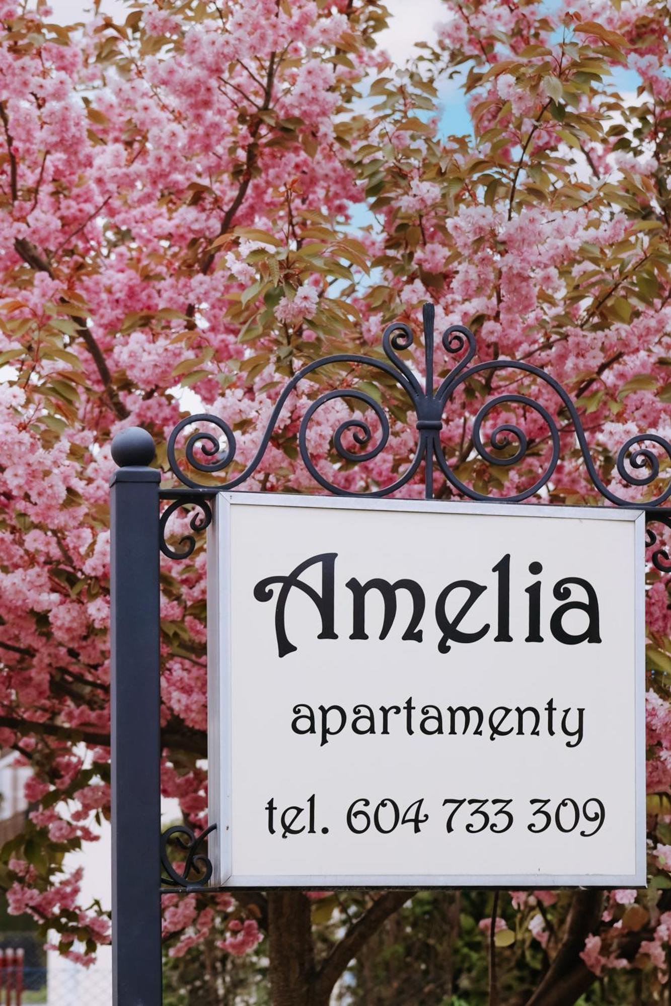 Amelia Apartamenty - Sala Zabaw, 2 Sypialnie, Garaz Podziemny Wladyslawowo Exterior foto