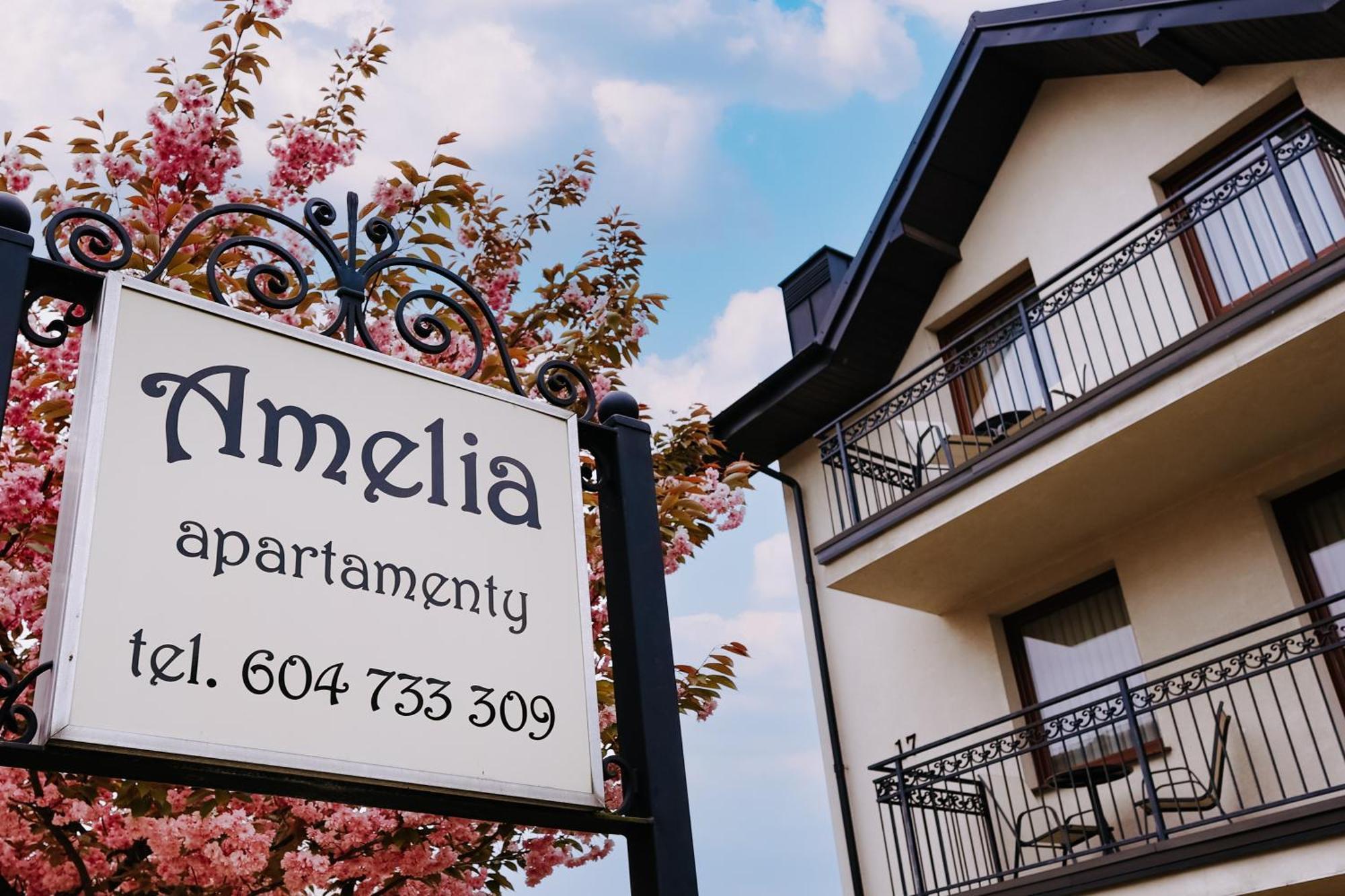 Amelia Apartamenty - Sala Zabaw, 2 Sypialnie, Garaz Podziemny Wladyslawowo Exterior foto